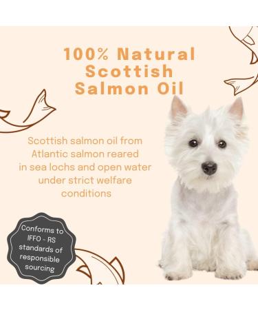 Buddy & Lola 100% Pure Food Grade Scottish Salmon Oil For Dogs & Pets (1000 ml) - Natural Omega 3 6 & 9 For a Shiny Coat Better Skin & Joints Less Itching and Improved Cognitive Health 1000ml - Buy Online on GoSupps.com