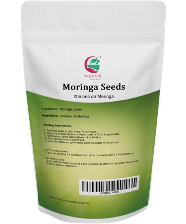 Yogi's Gift - Moringa Oleifera Seeds 10 oz Approx 1000 Seeds | Viable for Germination | Non-GMO | Graines de Moringa - Buy Online on GoSupps.com