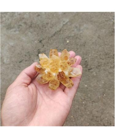 Natural Crystal Rough Raw Citrine Natural Quartz Stone Crystal Cluster Yellow Specimen Home Decoration Decoration (Color : A Yellow Size : 200-300g) 200-300g A Yellow - Buy Online on GoSupps.com
