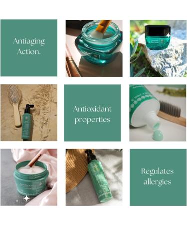  Olive Spa Detox Shampoo for Hair Loss 250ml - Buy Online on GoSupps.com