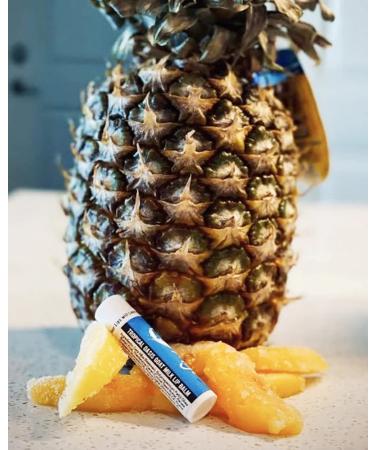 O My! Goat Milk Lip Balm | Shea Butter and Vitamin E | Free of Parabens & More | Handcrafted in USA Vanilla Latte 1 Count (Pack of 1) - Buy Online on GoSupps.com