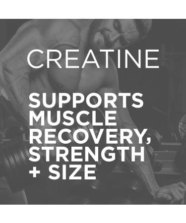 Creapure Creatine Monohydrate - Micronized 5g for Enhanced Performance Strength & Recovery - Rainbow Candy Flavor (50 Servings - Buy Online on GoSupps.com