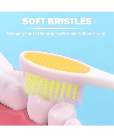 Buy Plandlelee Foldable Travel Toothbrushes - Set of 2 Portable Soft Bristles for Camping & Travel - Buy Online on GoSupps.com