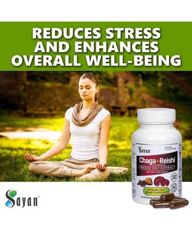 Chaga Mix Supplements - Shilajit Resin (30 g) 7 Mushroom Extract Powder Chaga Extract + Reishi Extract Capsules (90 Capsules) Chaga Mushroom Tea (20 Bags) - Buy Online on GoSupps.com