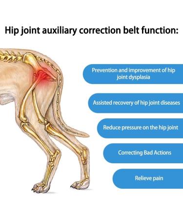 DONGKER Dog Knee Brace Adjustable Dog Knee Brace for Dogs Hind Legs Recover - Buy Online on GoSupps.com