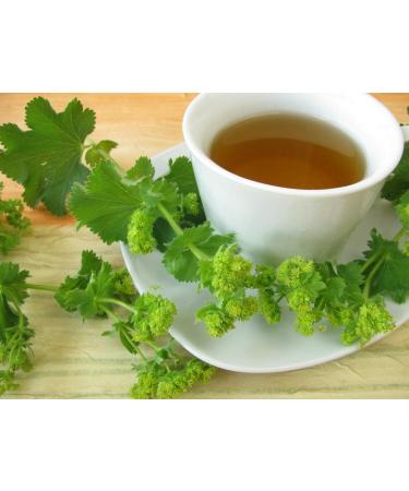 Lady's Mantle Herb Tea/Mesdames Manto Herbe (Alchemilla Vulgaris) - Health Embassy - 100% Natural (50g) - Buy Online on GoSupps.com