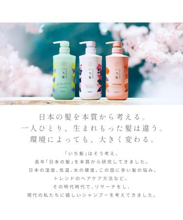 Ichikami Smooth Care Hair Conditioner Pump - 480ml - Buy Online on GoSupps.com