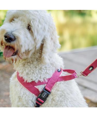 Nobby Norwegian Classic Preno Harness - Purple Size L (68-85 cm + 54 cm) Durable & Stylish Perfect for Your Pet - Buy Online on GoSupps.com