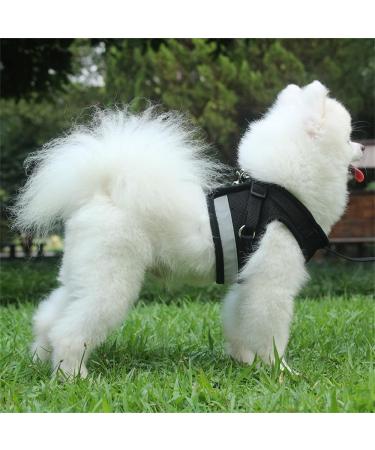 Buy Reflective Soft Padded Harness & Cat Dishes for Small Dogs & Puppies | Air-Mesh Leash Included | Fits Chest 29-33cm - Black - Buy Online on GoSupps.com