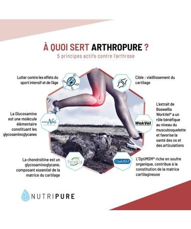 Nutripure | Mobility and Joint Pack | Peptan | Wisteria | Turmeric | Arthropure | Supplements against collagen and cartilage aging - Buy Online on GoSupps.com