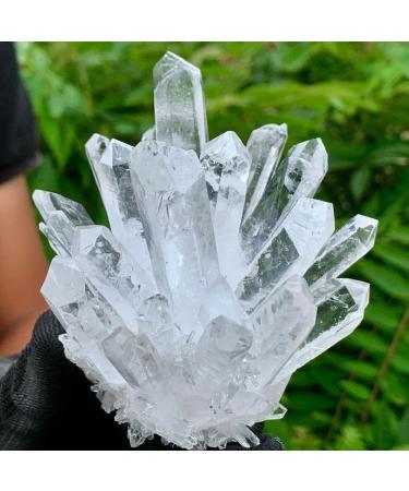 Natural Crystal Rough Natural White Clear Rock Quartz Crystal Clusters Specimen Stone Mineral Specimen - Buy Online on GoSupps.com