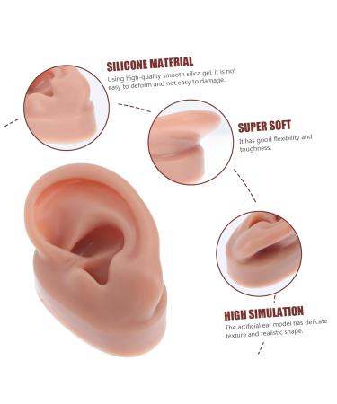 Angoily Human Ear Acupuncture Model - 1pc Silicone Display Ear Simulator for Massage & Learning | 6.5x3.5cm - Buy Online on GoSupps.com