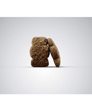 Josera Kids Puppy Food (5 x 900g) | Super Premium Dry Food for Medium & Large Breeds | Wheat-Free | Best Choice for Growing Dogs - Buy Online on GoSupps.com