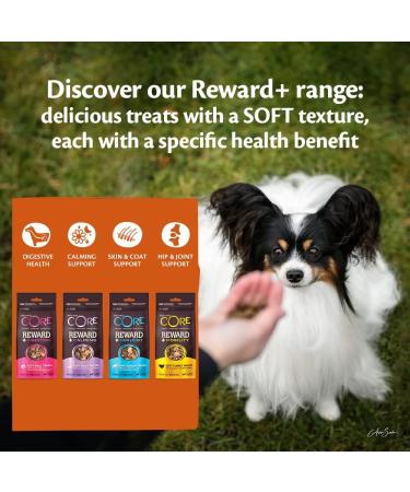 Wellness CORE Reward+ Treats Duck Supports in Calming Your Dog Soft Grain Free Dog Treats 170g 170 g (Pack of 1) Duck & Camomille - Calming - Buy Online on GoSupps.com