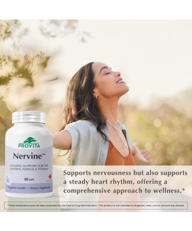 PROVITA Nervine | Natural Relaxation & Nervous System Support | California Poppy & Hawthorn | Vegan Calm Support Supplement | Evening Relaxation | Rest Recovery & Daily Balance | 60 Veg Capsules 60 Count (Pack of 1) - Buy Online on GoSupps.com