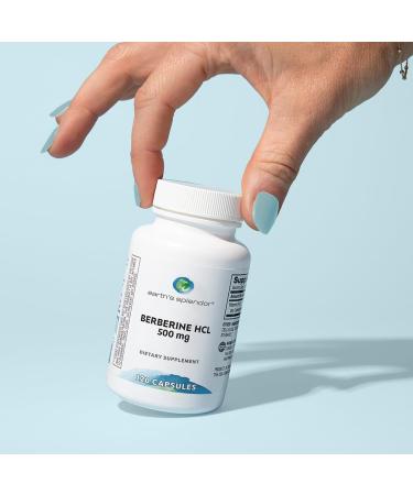 Earth's Splendor Berberine 500mg Capsules Supports Metabolism (120ct Bottle 2 Month Supply) Non-GMO Vegan-Friendly - Buy Online on GoSupps.com