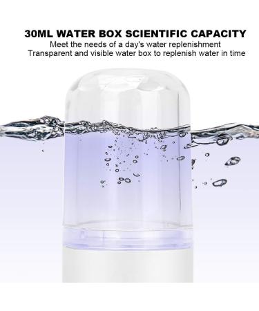Face Mist Sprayer Deep Hydrating Portable USB Face Steaming Skincare Humidifier - Buy Online on GoSupps.com