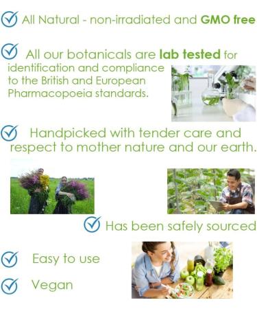 Pine Needles Liquid Extract Tincture with Vitamin C, Bioflavonoids, and Antioxidants - 100ml/3.38 fl oz - Buy Online on GoSupps.com