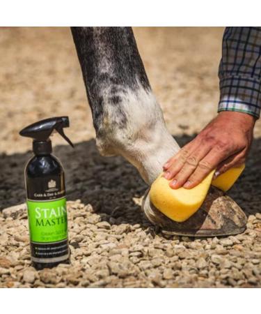 Carr Day and Martin StainMaster Green Spot Remover Spray 500ml - Effective Pet Stain Solution for International Shipping - Buy Online on GoSupps.com