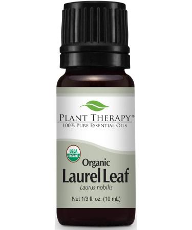Plant Therapy Laurel Leaf Essential Oil 10 mL (1/3 oz) 100% Pure Undiluted Uplifting Aromatherapy and Respiratory Support Laurel Leaf 0.33 Fl Oz (Pack of 1)