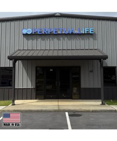 PERPETUA.LIFE AEON Longevity Complex White, Supplement with Curcumin, NMN (Nicotinamide Mononucleotide), AKG, Glycine & Taurine, Supports Healthy Aging, Energy & Immune System, Vegan, 60 Capsules - Buy Online on GoSupps.com