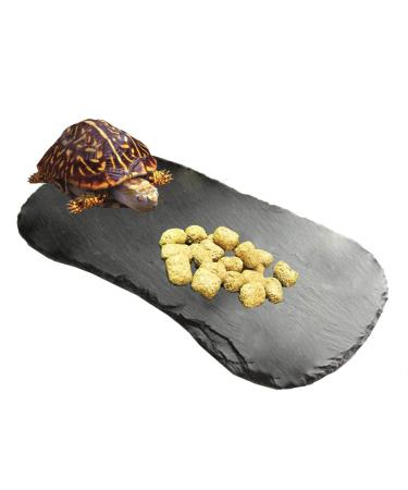 Tfwadmx Reptile Basking Platform Tortoise Rock Plate Feeding Food Bowl Dish Feeding Slate Turtle Bathing Resting Platform for Lizard Gecko Bearded Dragon Chameleon Snake Frog 11''x5.5'' natural