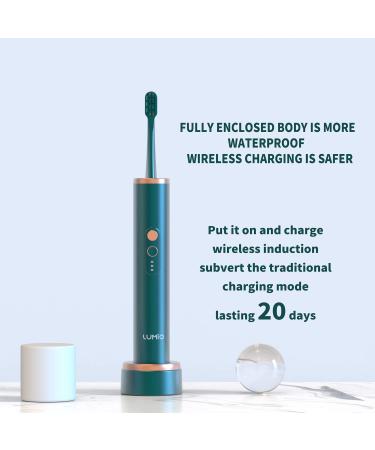Buy LUMIO Electric Toothbrush - Self-Cleaning Sonic Vibration Portable Ultra Soft Brush Head Cordless Fast Charging for Travel & Home - Dark Green - Buy Online on GoSupps.com