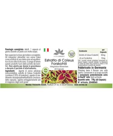 Forskolin - with 50mg of Coleus Forksholi Extract - 60 Capsules | herba direkt - Quality from German Pharmacies - Buy Online on GoSupps.com