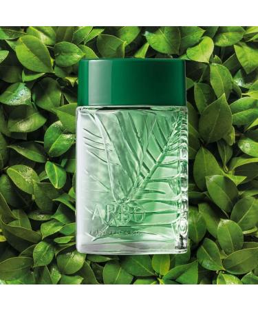 O BOTICARIO - Linha Arbo (Botanic) - Colonia Masculina 100 Ml - (Tree (Botanic) Collection - Eau de Toilette for Men 3.38 Fl Oz) - Buy Online on GoSupps.com