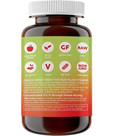 Eclectic Institute Freeze-Dried Kale Powder - Whole Food, 3.2 oz (90 g) | Nutrient-Rich Superfood - Buy Online on GoSupps.com