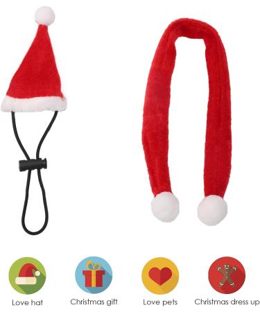 Petyoung Reptiles Hat & Scarf Set for Lizards Bearded Dragons Geckos - Christmas Hat Shell Red Leash & Dishes - Perfect Gift for Small Animals - Buy Online on GoSupps.com