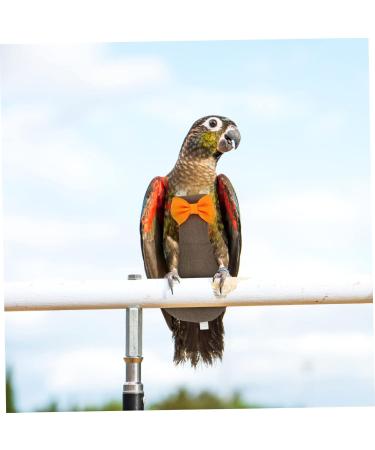PopetPop 3 Pack Flying Bird Diapers - Parrot Accessories for Nymphatic & King Cotton | International Shipping - Buy Online on GoSupps.com