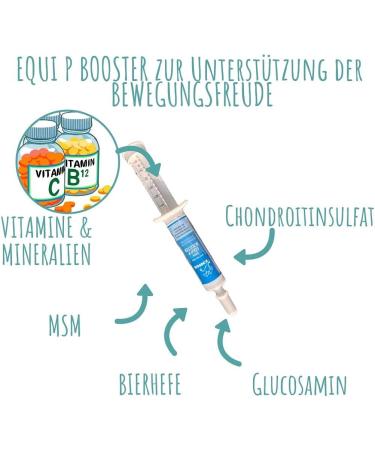 Devil's Claw Horse + Willow Bark Horse - First Aid Horse Joints - Devil's Claw + Equi P Booster - Glucosamine Locomotor System Support Horse - Tendons Ligaments 1L 30ml - Buy Online on GoSupps.com