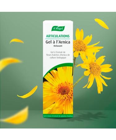 A.VOGEL - Gel l'Arnica - Pommade anti inflammatoire qui soulage les douleurs articulaires et musculaires - R duit les oed mes bleus et bosses - Extraits d'arnica frais - Actifs v g taux - 100ml - Buy Online on GoSupps.com
