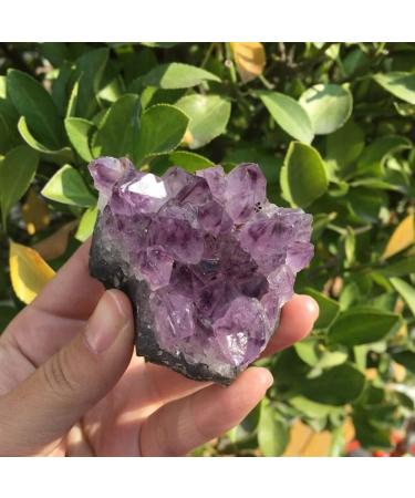 Specimen 142g Natural Dream Amethyst Quartz Crystal Cluster Specimen - Buy Online on GoSupps.com
