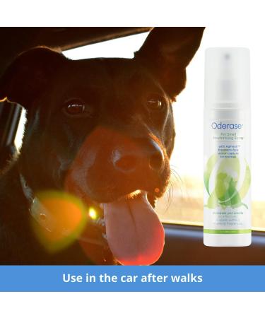 Pet Smell Neutralising Spray - Effective Odor Eliminator for Pets - 100ml - Buy Online on GoSupps.com