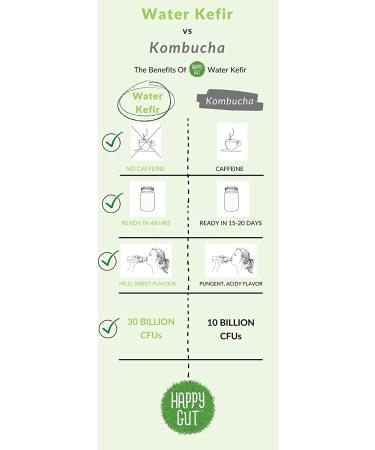 Organic Dehydrated Water Kefir Grains by Happy Gut - Unlimited Usage, Vegan, Gluten-Free - Buy Online on GoSupps.com