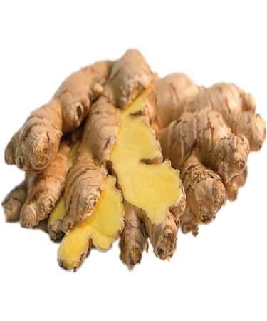 Tooba Ginger Paste/330 gram/Great Flavour/Authentic Taste - Buy Online on GoSupps.com