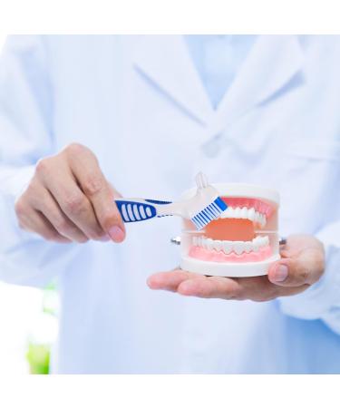 4 STK Denture Picking Box | Immersion Container for Prostheses Storage & Cleaning Tools - International Shipping Available - Buy Online on GoSupps.com