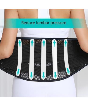 Dorbi Back Support Belt XXL - Removable Lumbar Pad for Pain Relief in Herniated Disc Scoliosis & Sciatica for Men & Women - Buy Online on GoSupps.com