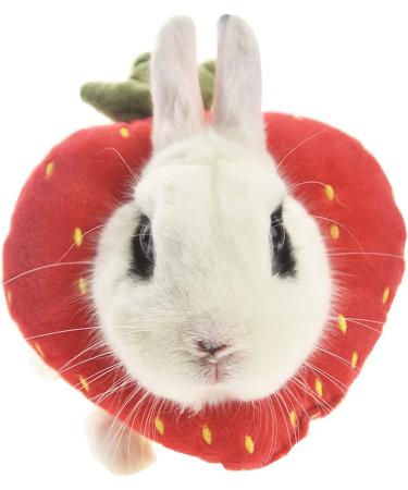 Buy Fladorepet Rabbit Protection Cone Elizabethan Neck Collars & Hasentoast Avocado Costume for Small Pets - Perfect for Recovery & Fun! - Buy Online on GoSupps.com