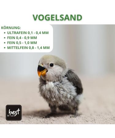 Best Home Bird Sand - Quartz Sand for Cages 0.8-1.4 mm | 5 KG Ideal for Birds - Buy Online on GoSupps.com