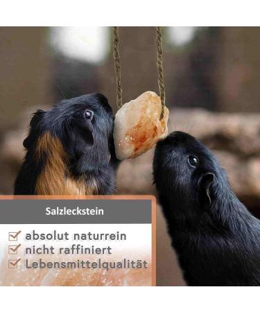 Set of 10 Himalayan Salt Lick Stones with Cord - 1 kg for Rabbits, Cats, Horses, Sheep - Premium Mineral Lick for Animals - Buy Online on GoSupps.com