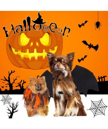 Shop Vivifying Bat Wing Cat Costume - Adjustable Halloween Wings with Pumpkin Bell | Perfect Cat Cosplay Decoration - Buy Online on GoSupps.com