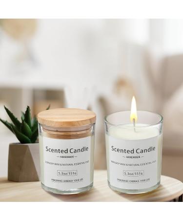VETOUR Glass Scented Candles Gardenia Aromatherapy Soy 2pc Set | 10.6 OZ, 80 Hours, 8% Natural Essential Oils | Perfect Mother's Day & Christmas Gift for Women Friends - Buy Online on GoSupps.com