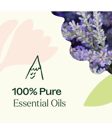 Plant Therapy Bouquet Essential Oil Blend 10 mL (1/3 oz) 100% Pure Undiluted for Essential Oil Diffuser or DIY Perfume Bouquet 0.33 Fl Oz (Pack of 1) - Buy Online on GoSupps.com