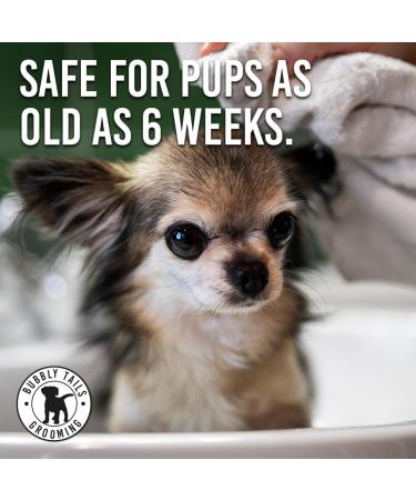 HugglePets Bubbly Tails Citrus 2 in 1 Shampoo Conditioner for Dogs 500ml | Fresh-Smelling Grooming Solution | Paraben-Free, Vegan Friendly - Buy Online on GoSupps.com