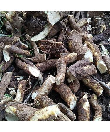HK Pushkarmool Inula racemosa 250 g. Other names are Pushkarmool Pushkarmool Orris Root Inula Racemosa Pokharmool Puskara mula Pohakarmul Puskar - Buy Online on GoSupps.com