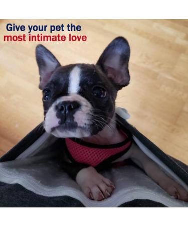 Unisex XL Pet Carrier Hoodie | Cat Dog Pouch Holder Sweatshirt - Buy Online on GoSupps.com