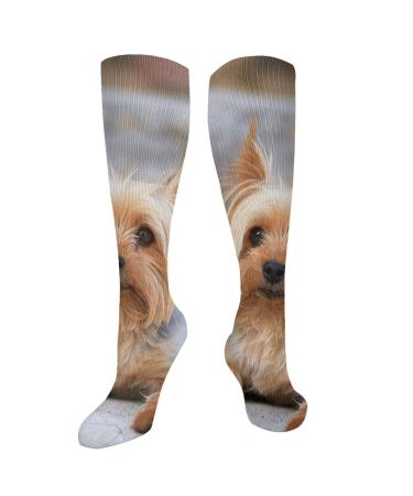 Portrait of a Miniature Yorkshire Terrier Yorkie Photo Compression Socks for Women & Men Circulation 15-20 mmHg is Best Support for Athletic Running Cycling